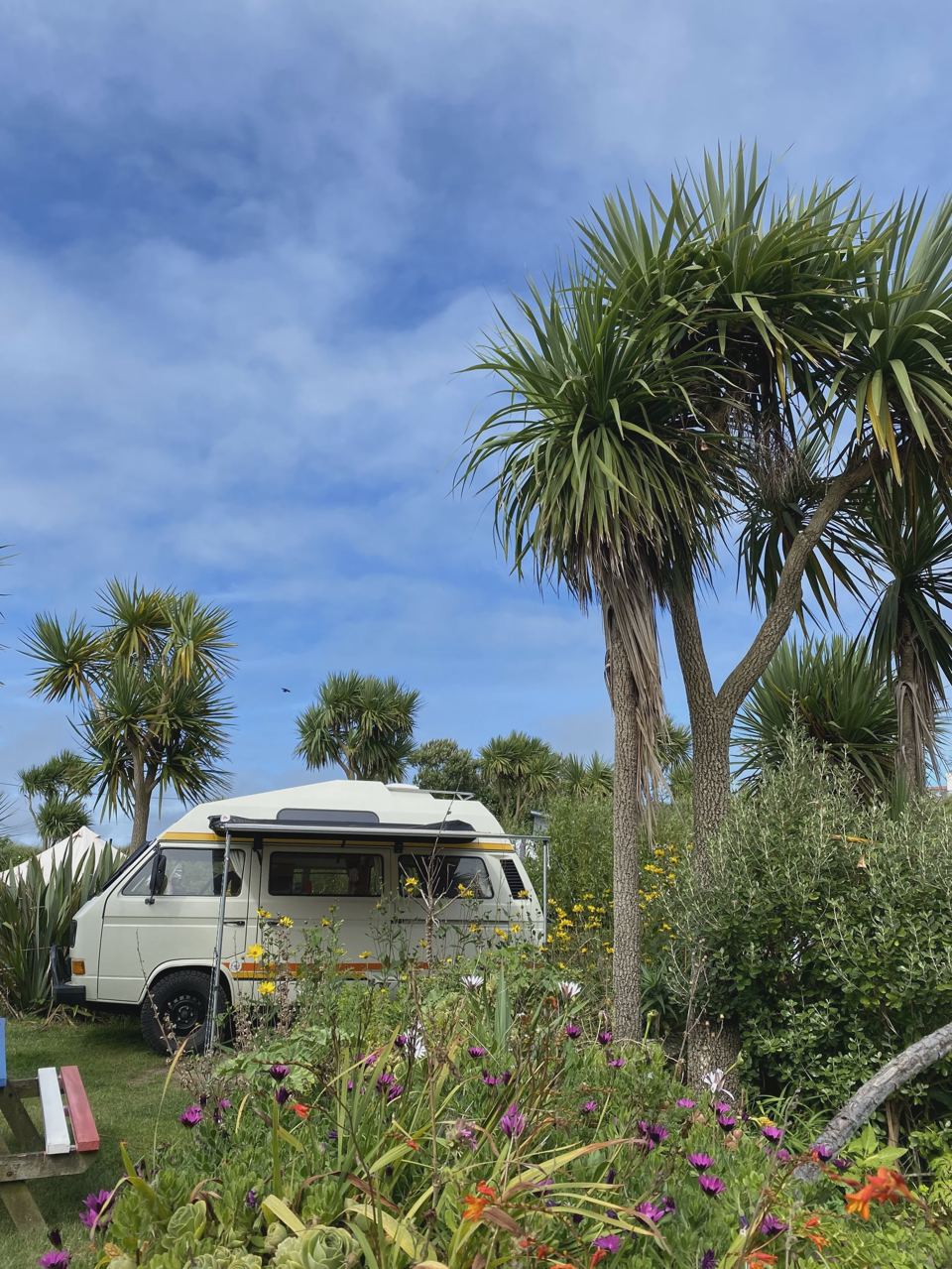 Vintage campervan among palms