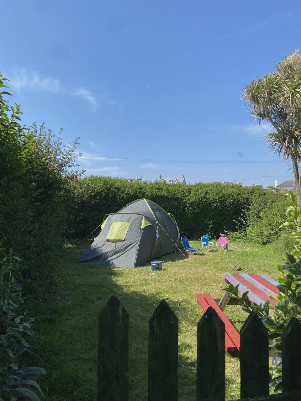 Tent pitched by the hedge