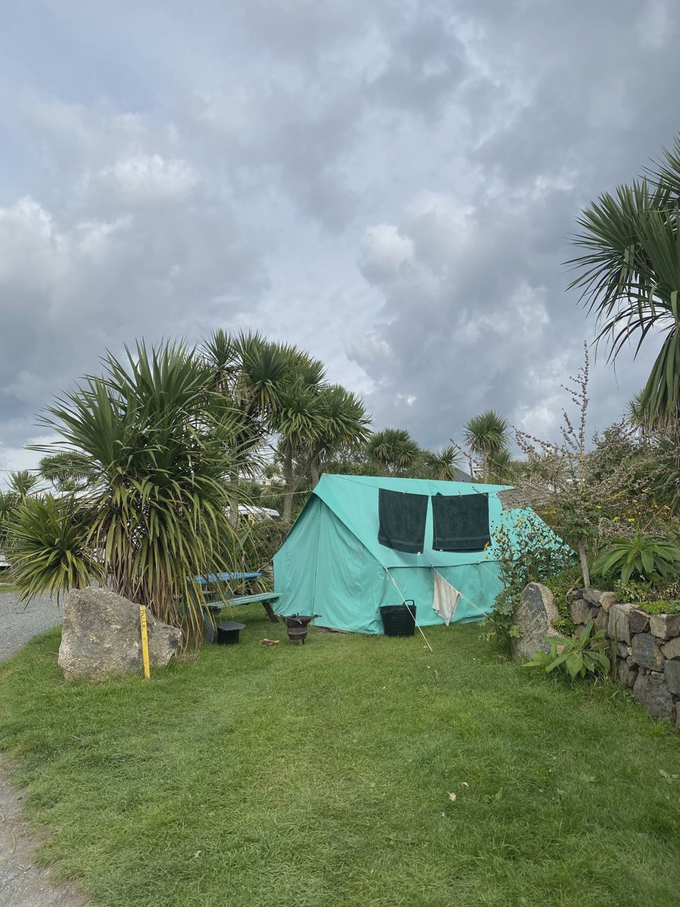 Teal tent among palms