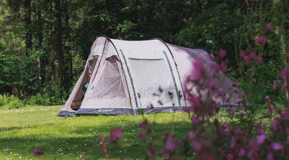 Tent pitch among flowers