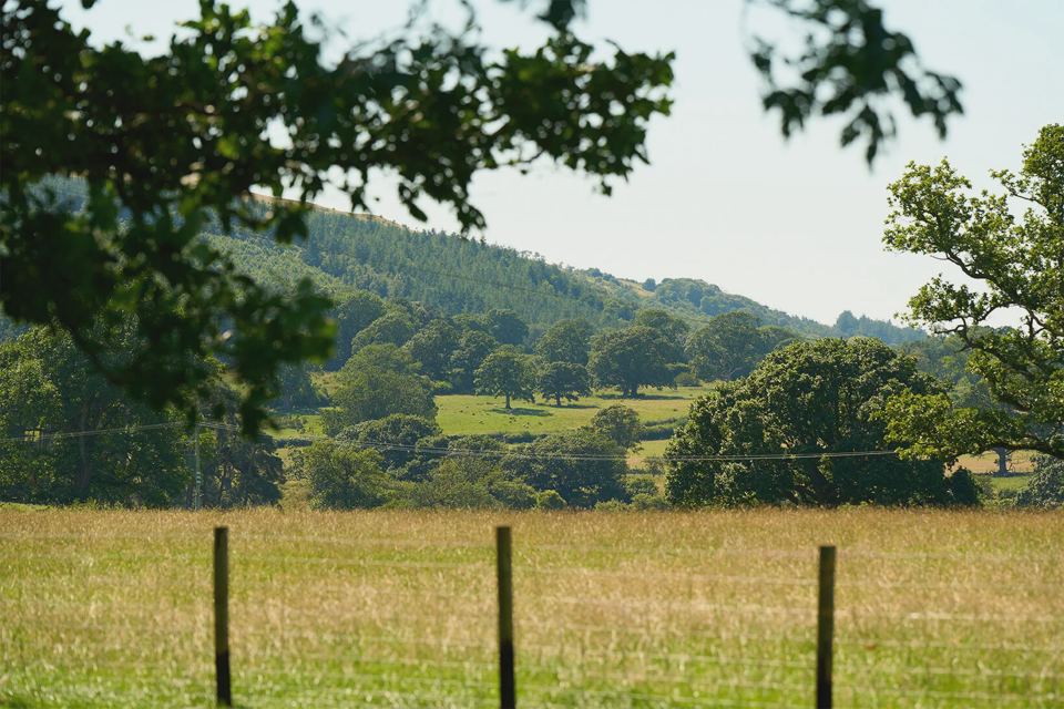 Countryside view over a fence