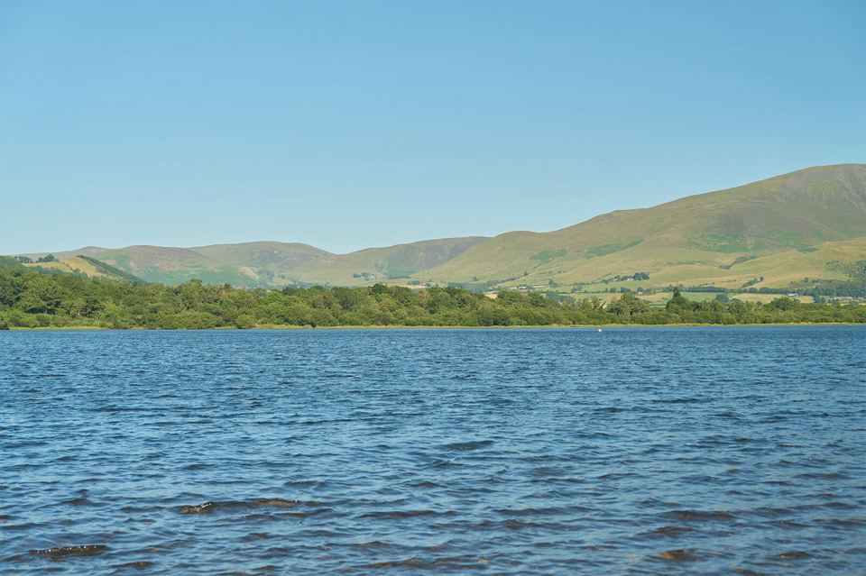 Lake under a clear sky