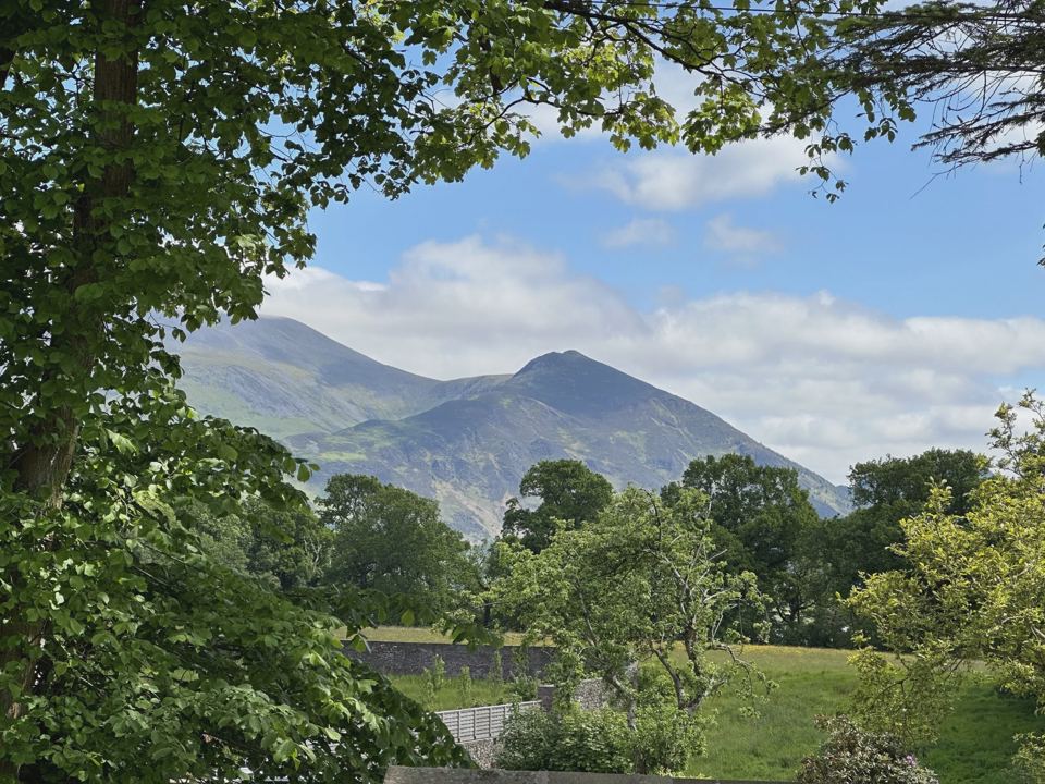 Mountain view through the trees