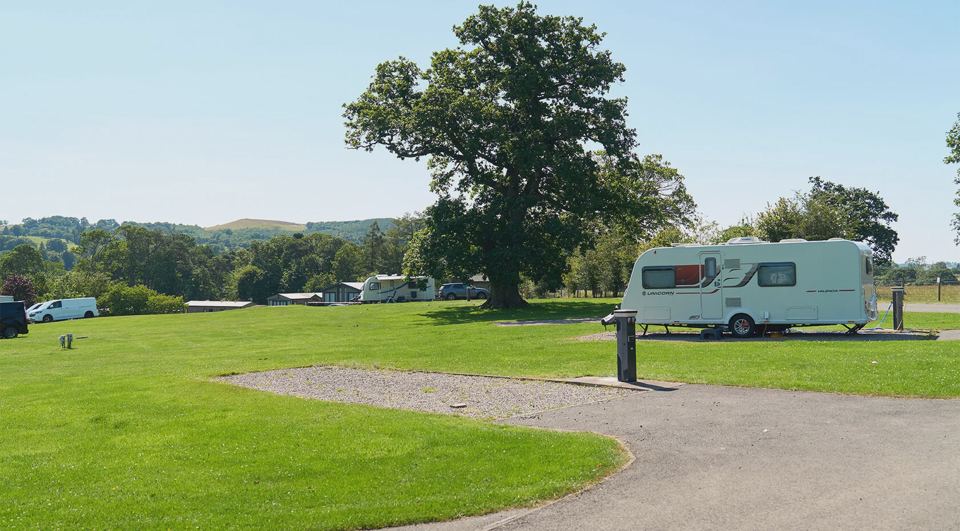 Motorhome pitch under a tree