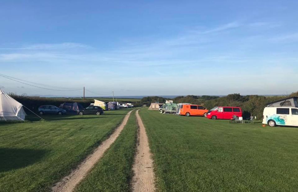 Grass pitches across the field