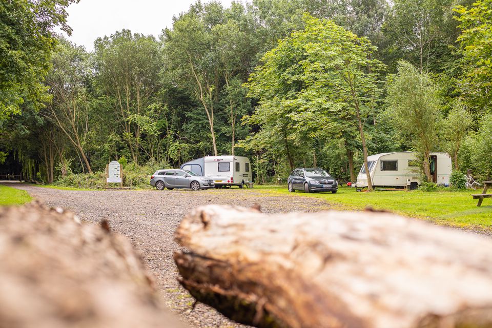Caravans among trees