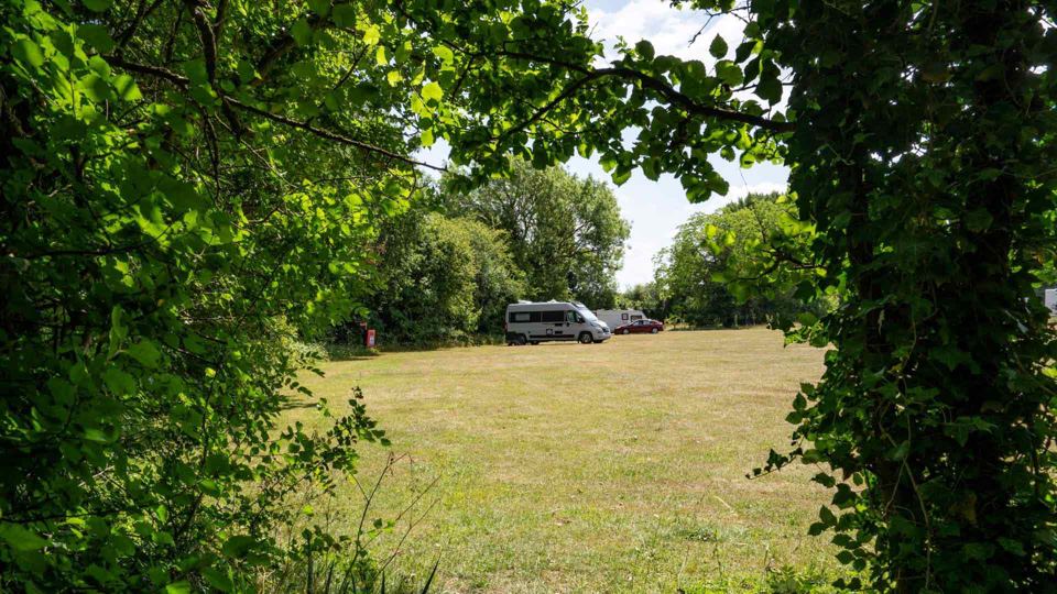 Grass pitches through the hedge