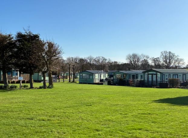 Open grass in the park