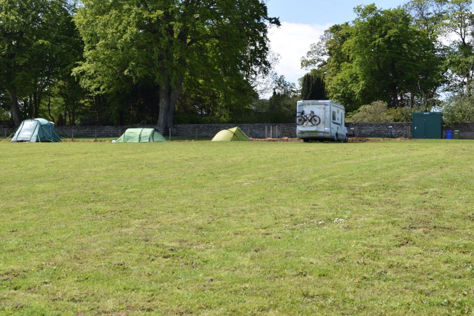 Grass pitches under the trees