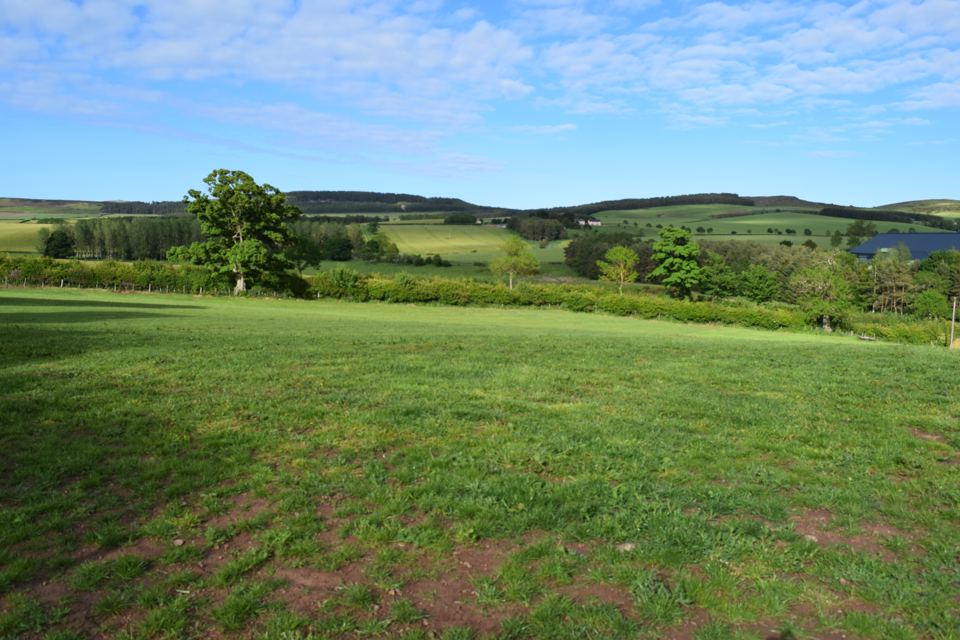 Field with hills beyond