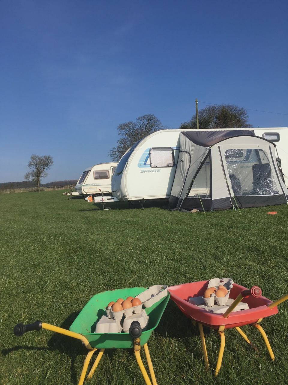 Caravan with awning on the grass