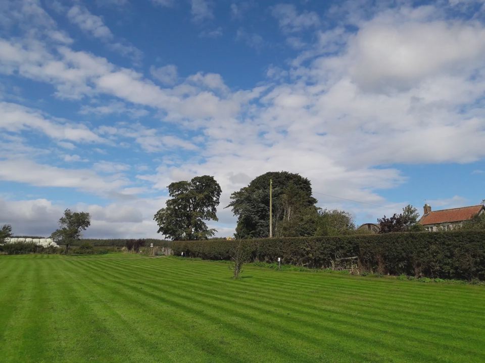 Level mown field under big sky
