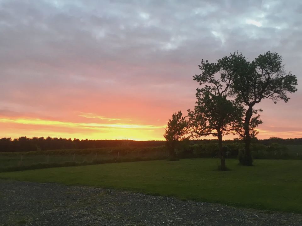 Orange sunset over the farm