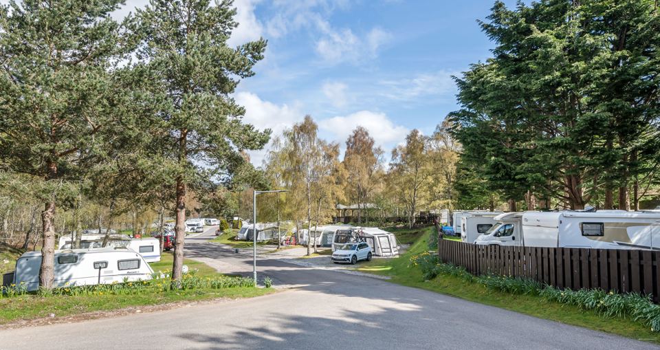 Touring park among the trees