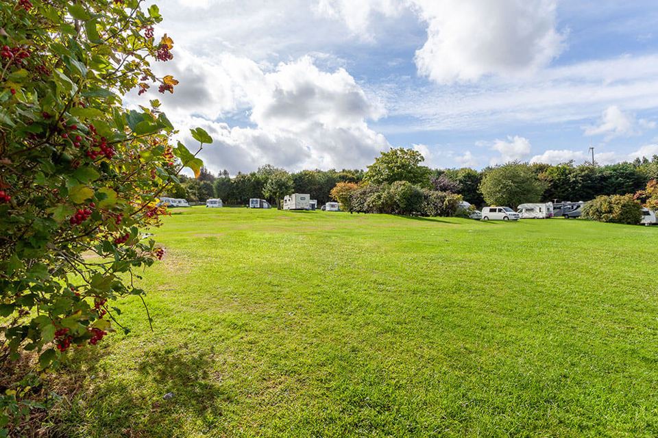 Open grass camping area
