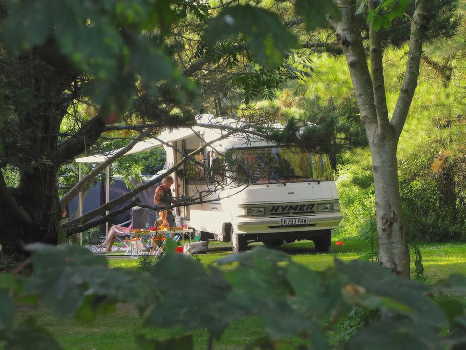Motorhome among the trees
