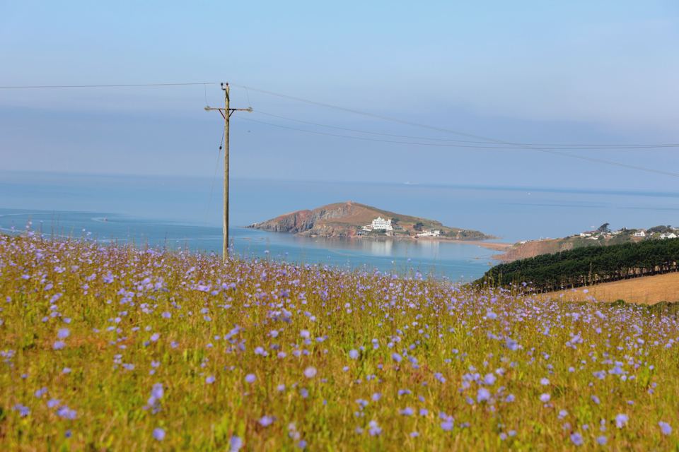 Meadow looking to Burgh Island