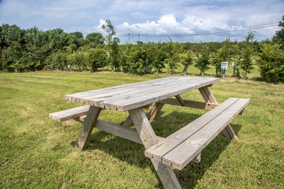Picnic table on the grass