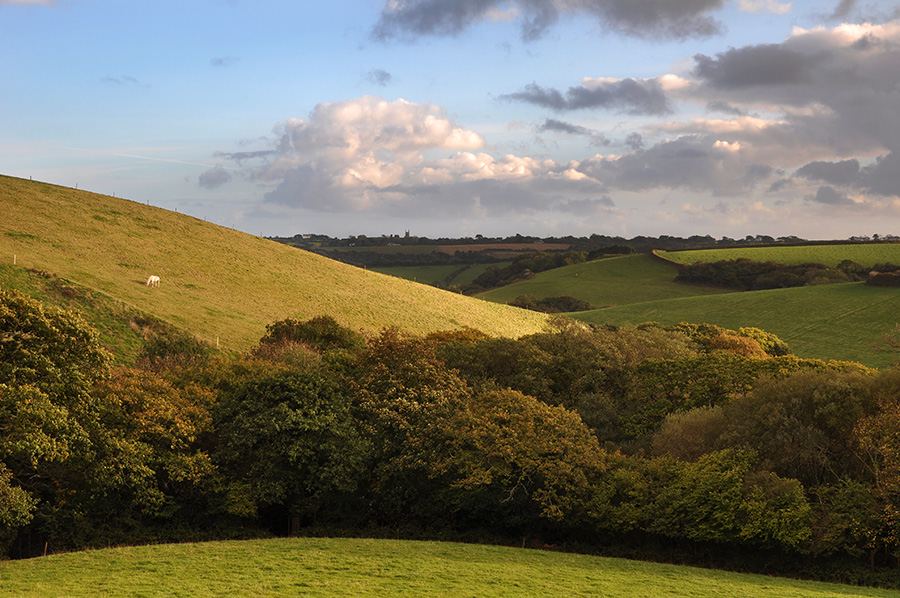 Rolling hills nearby
