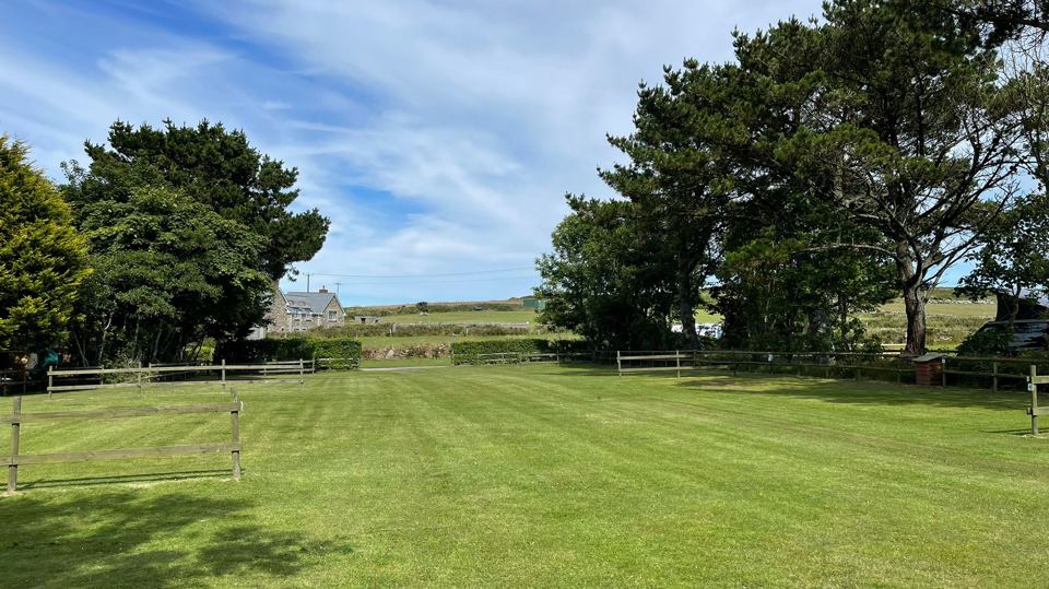 Grass pitches with trees beyond