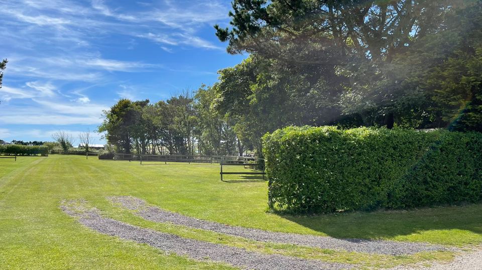 Grass pitches beside the hedge