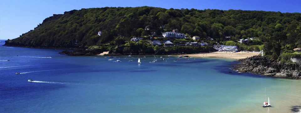 Cove near Salcombe