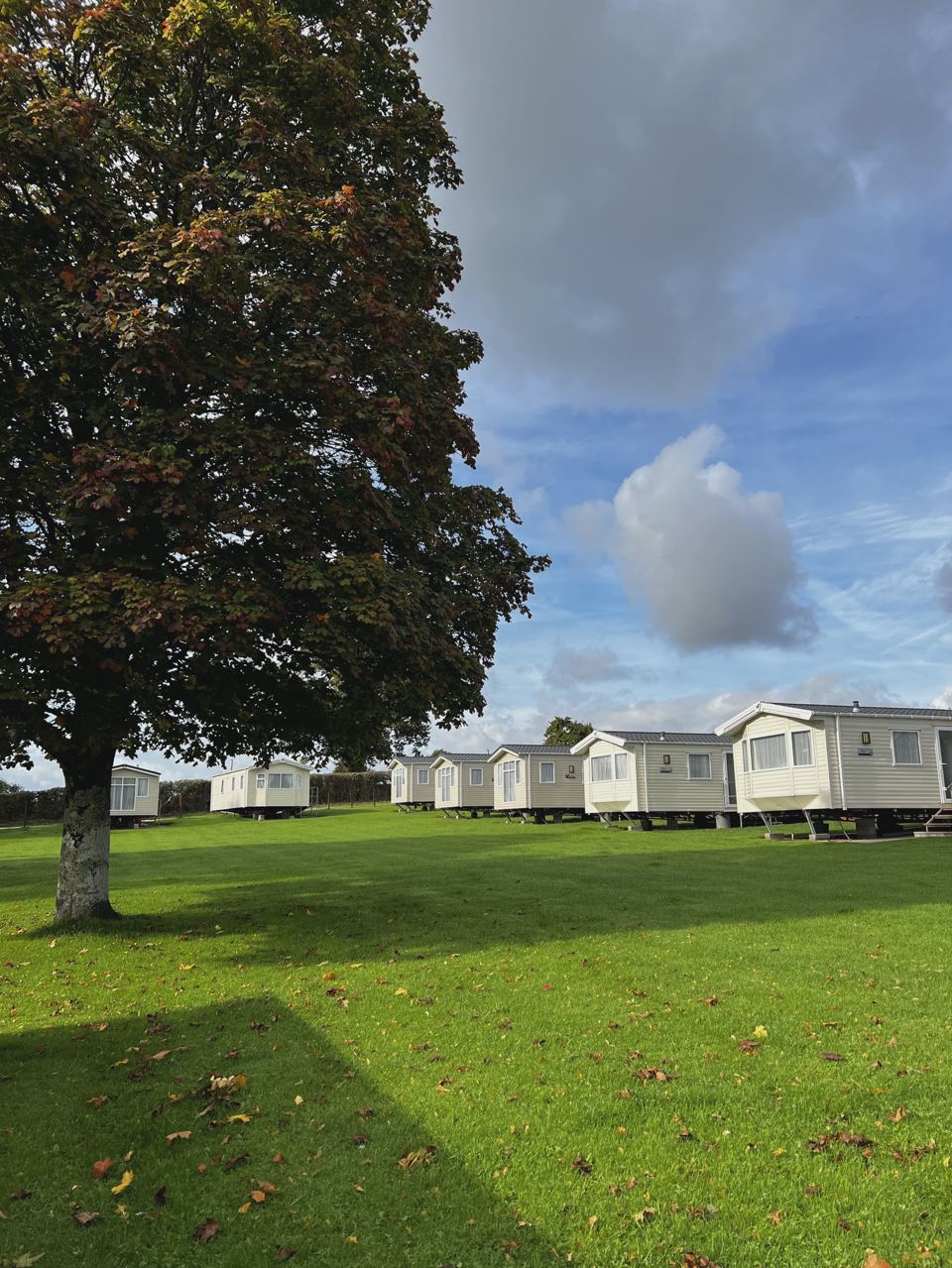 Static caravans on the grass