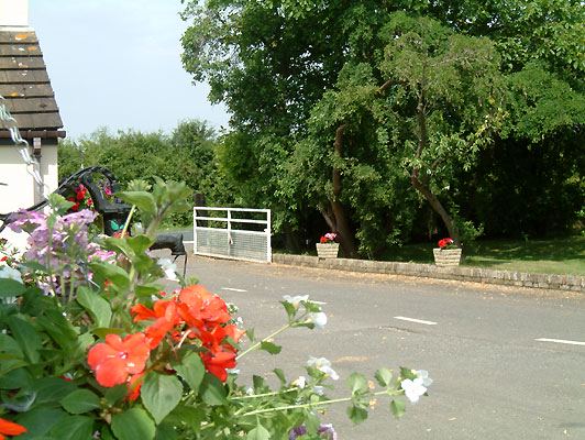 Road through the park with flowers