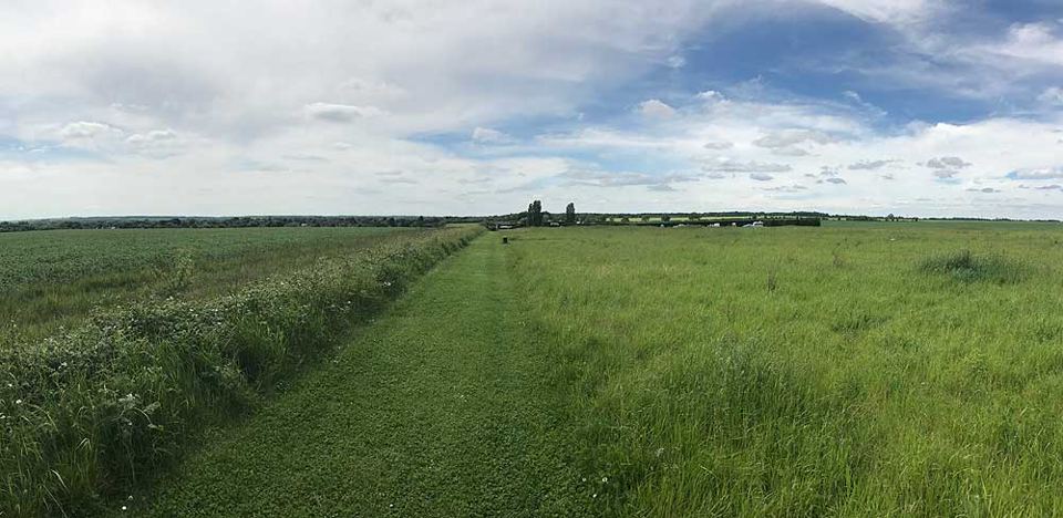 Mown path through the farm walk
