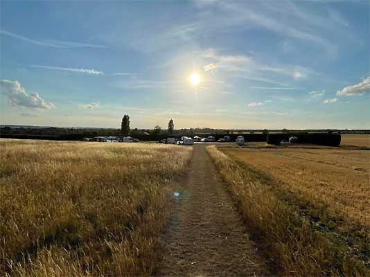 Farm walk path at sunset
