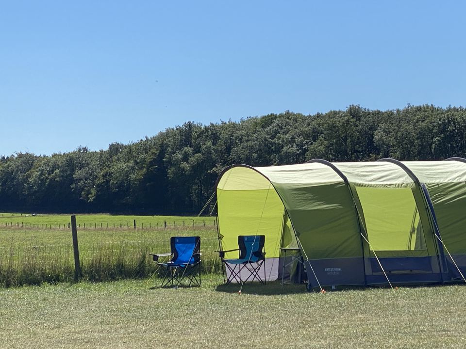 Pre-pitched tent by the woods
