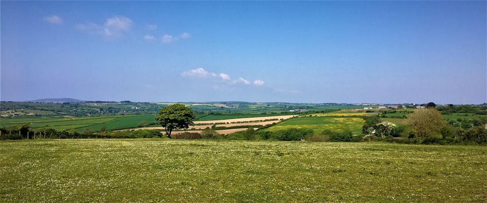 Fields and trees below the hill