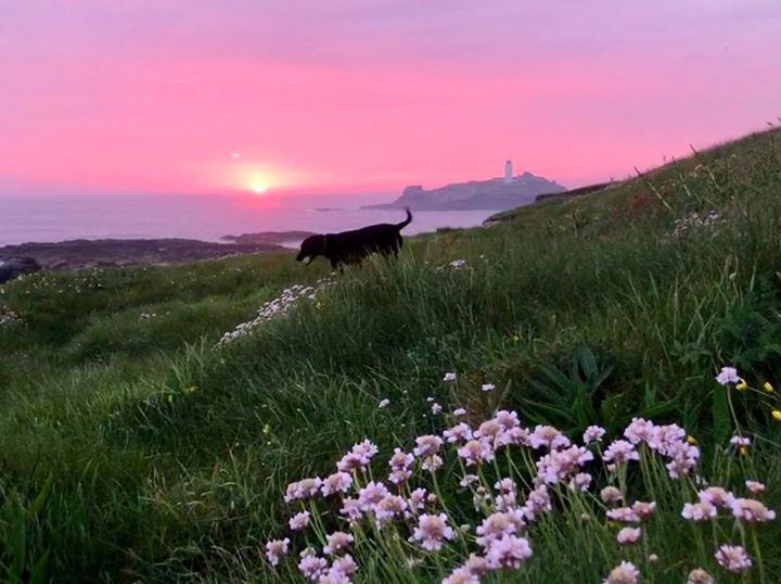 Sunset over the coast from the hill