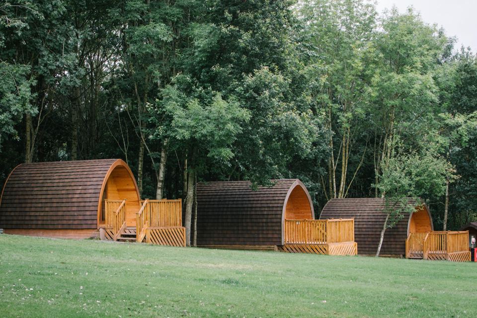 Row of pods among trees