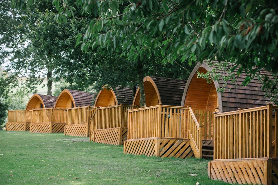 Pods in a row on grass