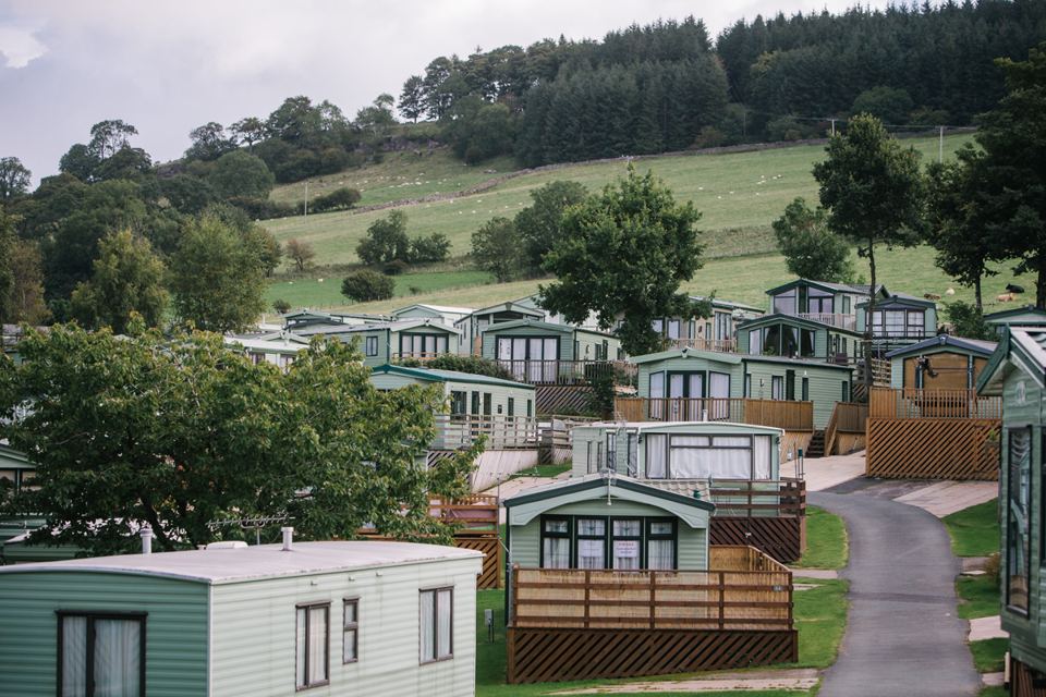 Lodges on grass amid trees