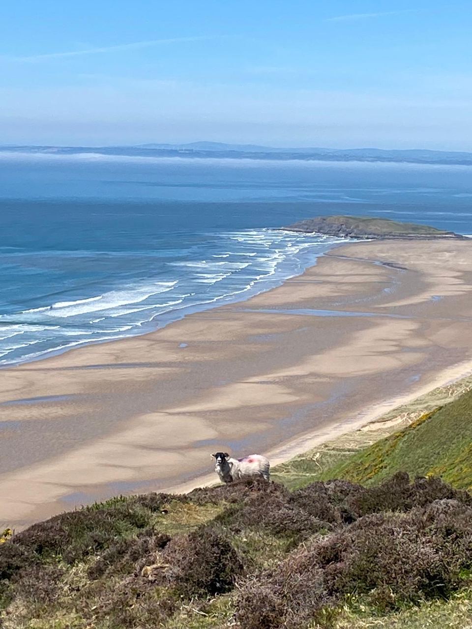 Rhossili Bay from the headland