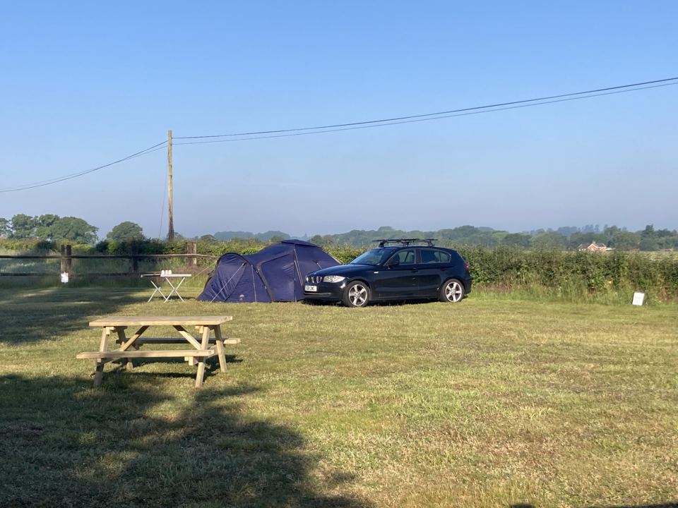 Tent pitch in the meadow