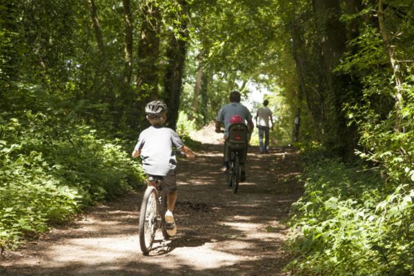 Cycling on a woodland track