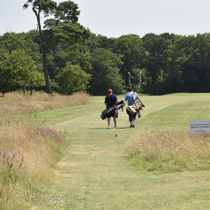 Golfers on the 9-hole course