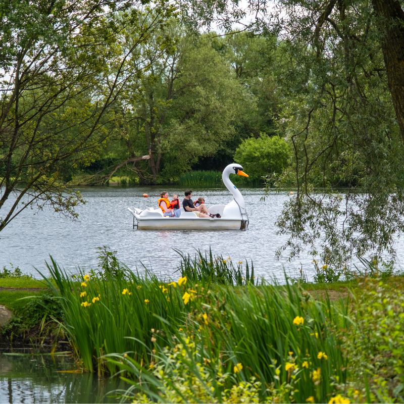 Pedalo on the lake