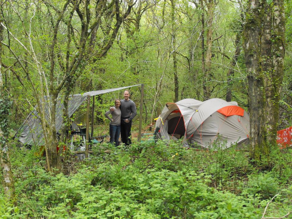 Tents and people in the woodland clearing