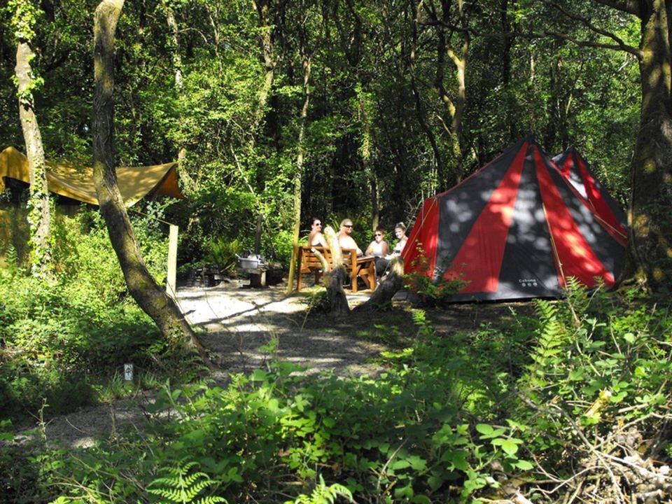 Bell tent and tents among the trees