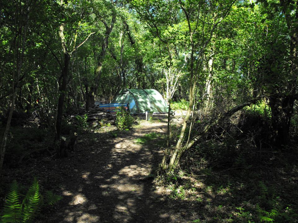 Tent at the end of the woodland path