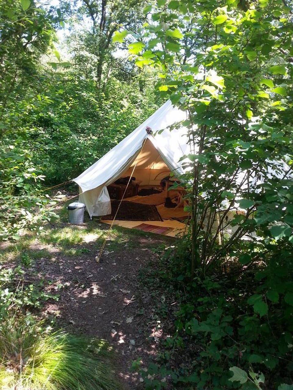 Bell tent in the woodland clearing