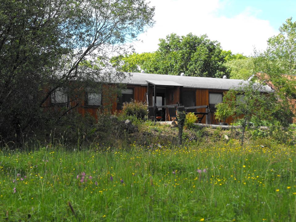 Wooden cabin in the long grass