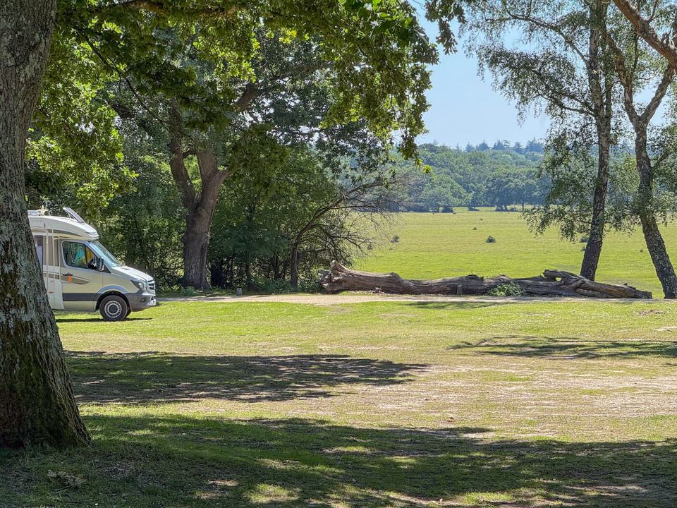 Motorhome beside open forest lawn