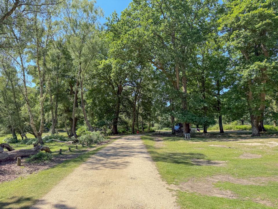 Track through the camping area
