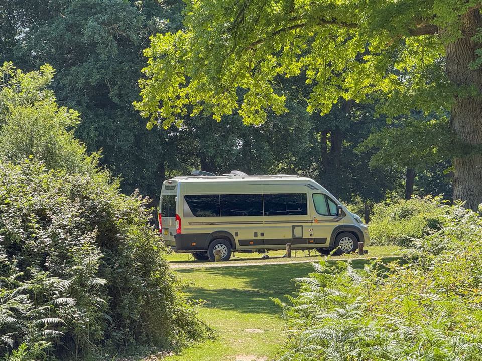 Campervan in a woodland clearing