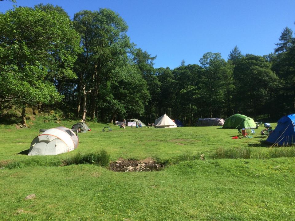 Tents on the grass under the trees